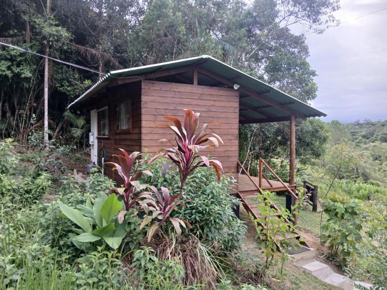 Cabana Manaca Da Serra モヘチス エクステリア 写真